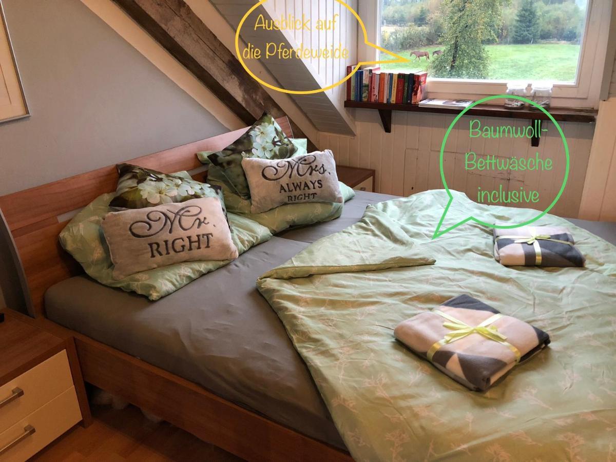 Studio - Grosses Wohn-Schlafzimmer - Dachterrasse - Kamin - Kuche - Hohes Venn - Monschau - Eifel - Hunde Willkommen Beim Hof Vierzehnender Zewnętrze zdjęcie