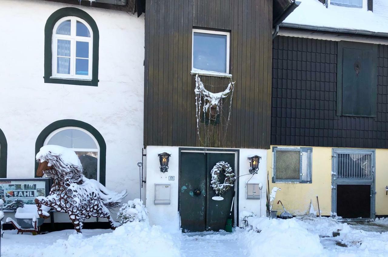 Studio - Grosses Wohn-Schlafzimmer - Dachterrasse - Kamin - Kuche - Hohes Venn - Monschau - Eifel - Hunde Willkommen Beim Hof Vierzehnender Zewnętrze zdjęcie