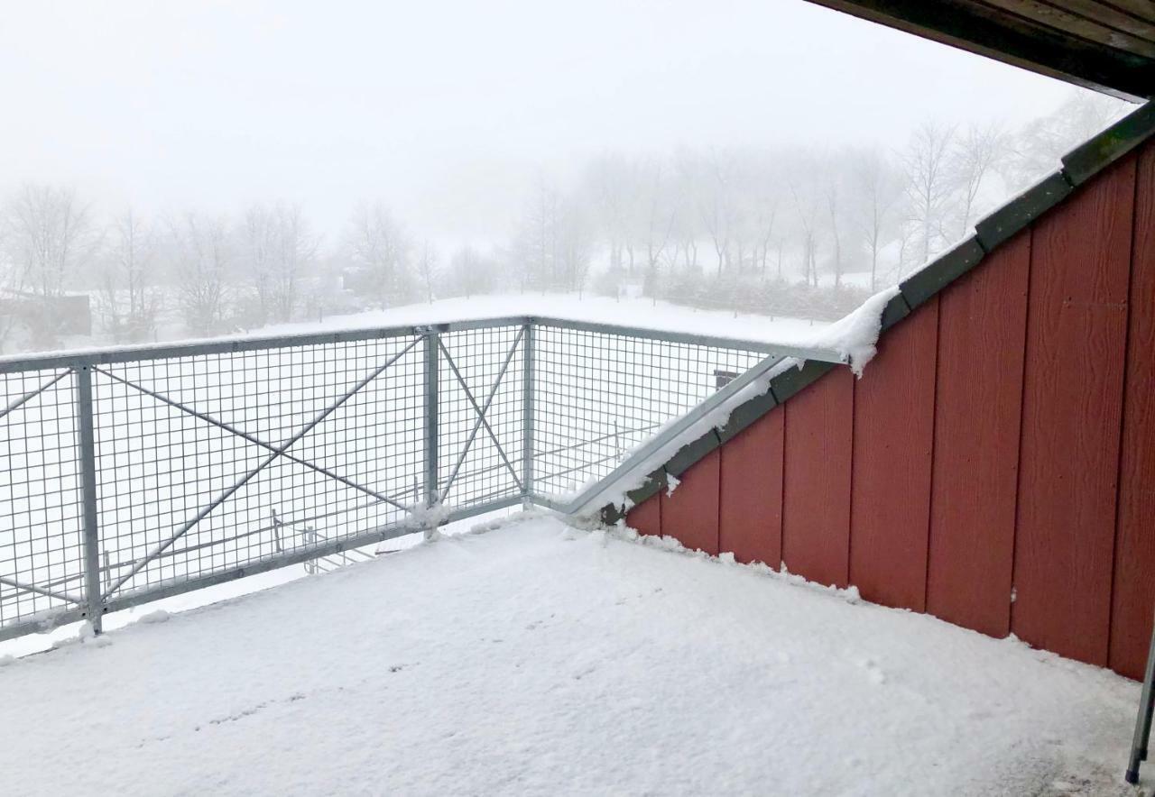 Studio - Grosses Wohn-Schlafzimmer - Dachterrasse - Kamin - Kuche - Hohes Venn - Monschau - Eifel - Hunde Willkommen Beim Hof Vierzehnender Zewnętrze zdjęcie